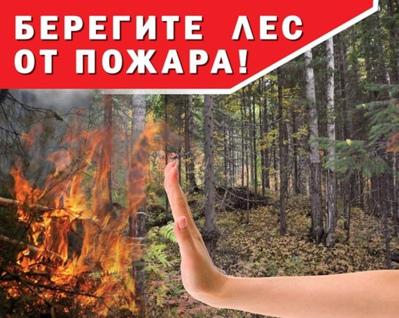 Пожарная безопасность в лесах: требования, нарушения, ответственность